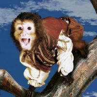 Пиратская обезьянка Барбоссы играть бесплатно
